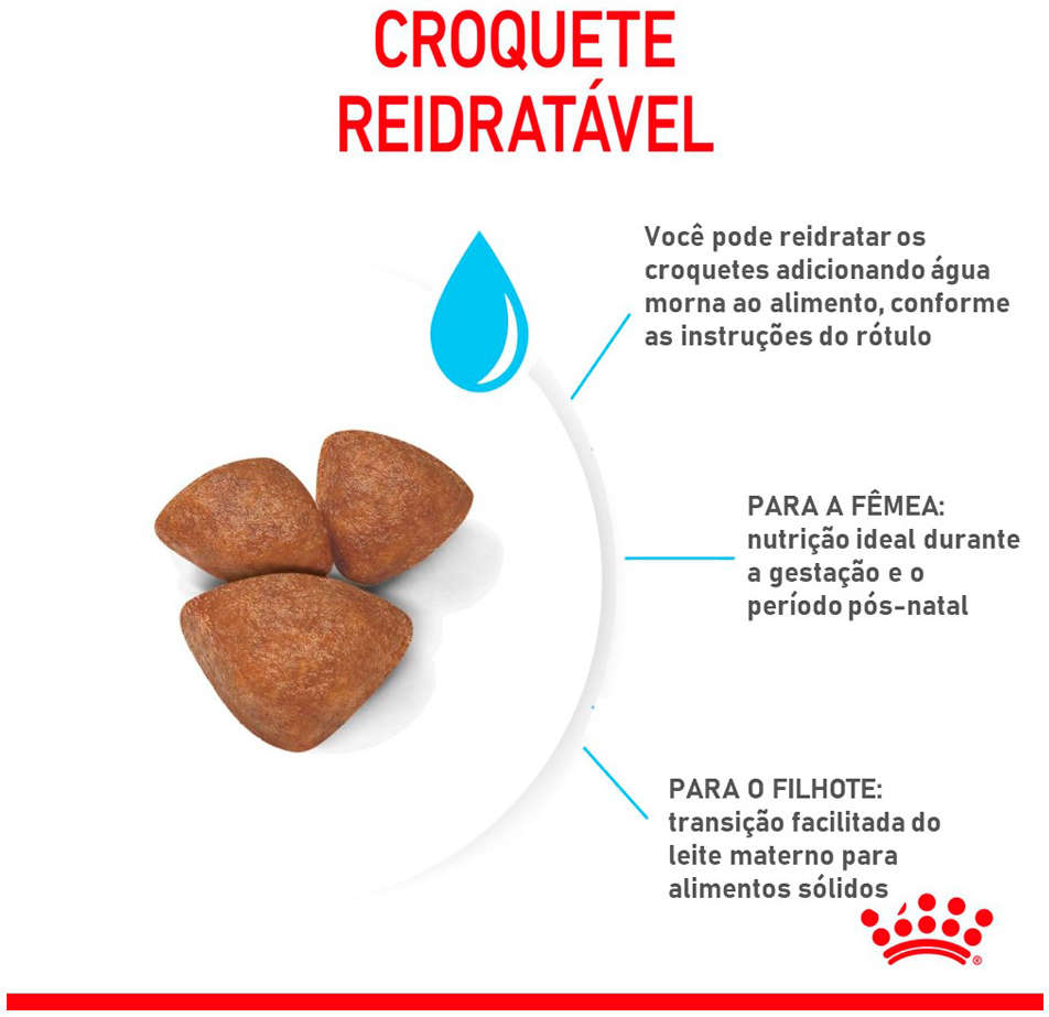Ração Seca Royal Canin Starter Mini Mother & Babydog para Cães Filhotes - 1Kg