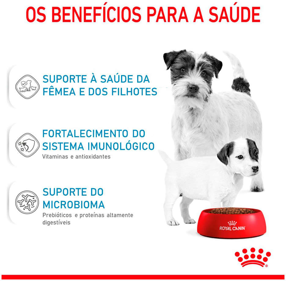 Ração Seca Royal Canin Starter Mini Mother & Babydog para Cães Filhotes - 1Kg