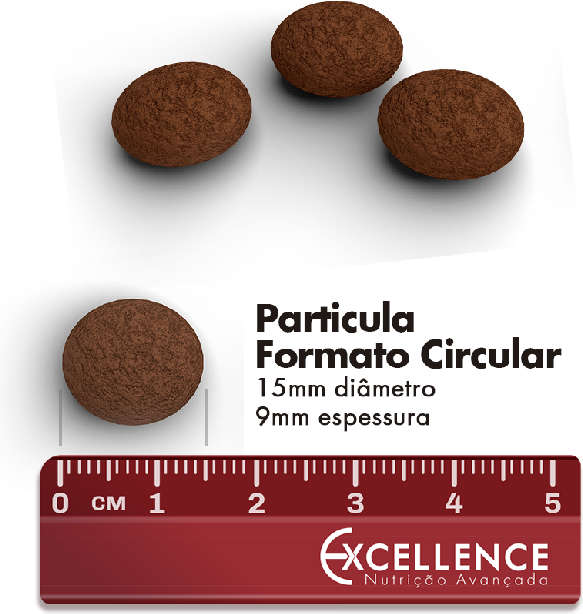 Ração Seca Dog Excellence Frango e Arroz para Cães Filhote Raças Grandes - 15Kg