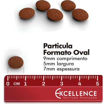 Ração Seca Dog Excellence Salmão e Arroz para Cães Adultos Raças Pequenas
