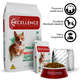 Ração Seca Dog Excellence Salmão e Arroz para Cães Adultos Raças Pequenas