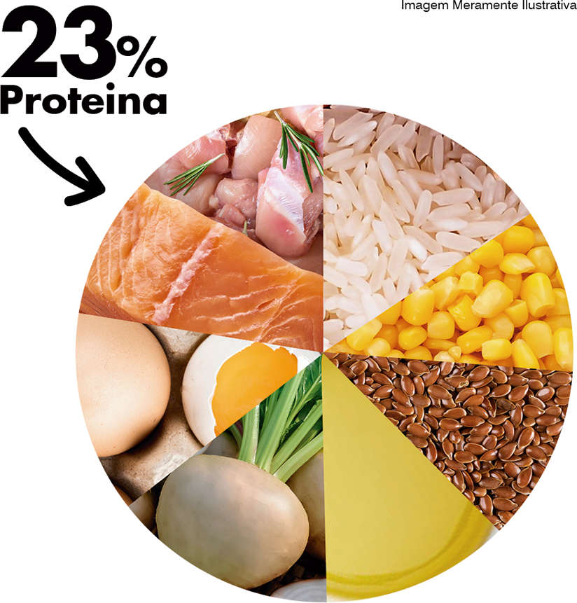 Ração Seca Dog Excellence Salmão e Arroz para Cães Adultos Raças Pequenas - 10Kg