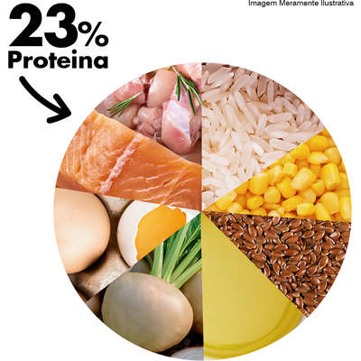 Ração Seca Dog Excellence Salmão e Arroz para Cães Adultos Raças Pequenas