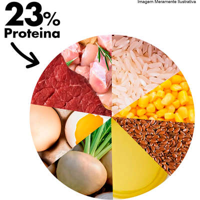 Ração Seca Dog Excellence Carne e Arroz para Cães Adultos Raças Médias