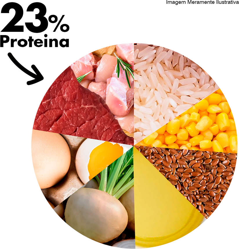 Ração Seca Dog Excellence Carne e Arroz para Cães Adultos Raças Médias - 15Kg