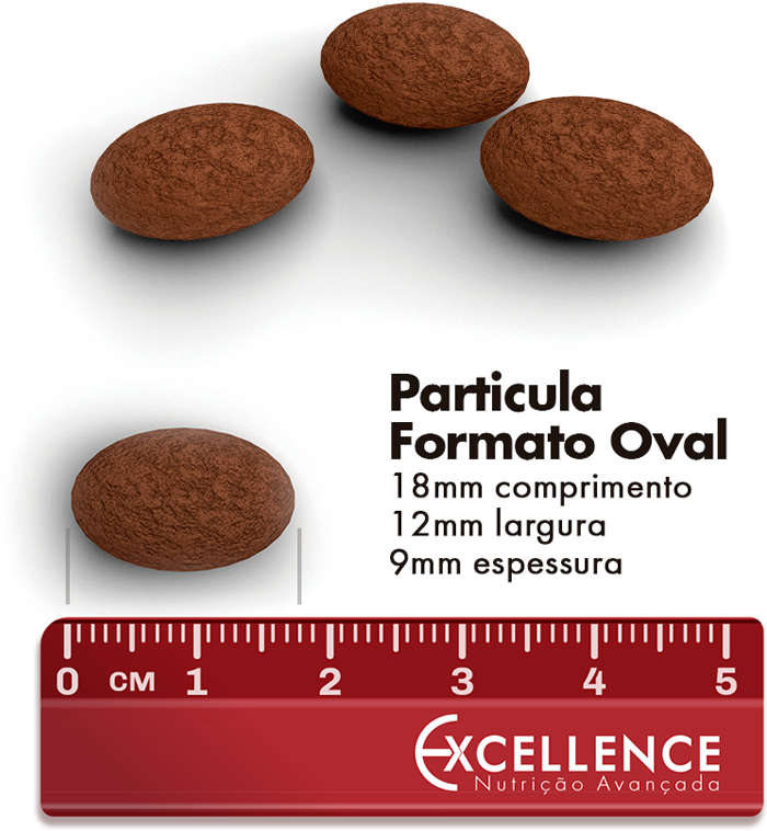 Ração Seca Dog Excellence Carne e Arroz para Cães Adultos Raças Médias - 15Kg