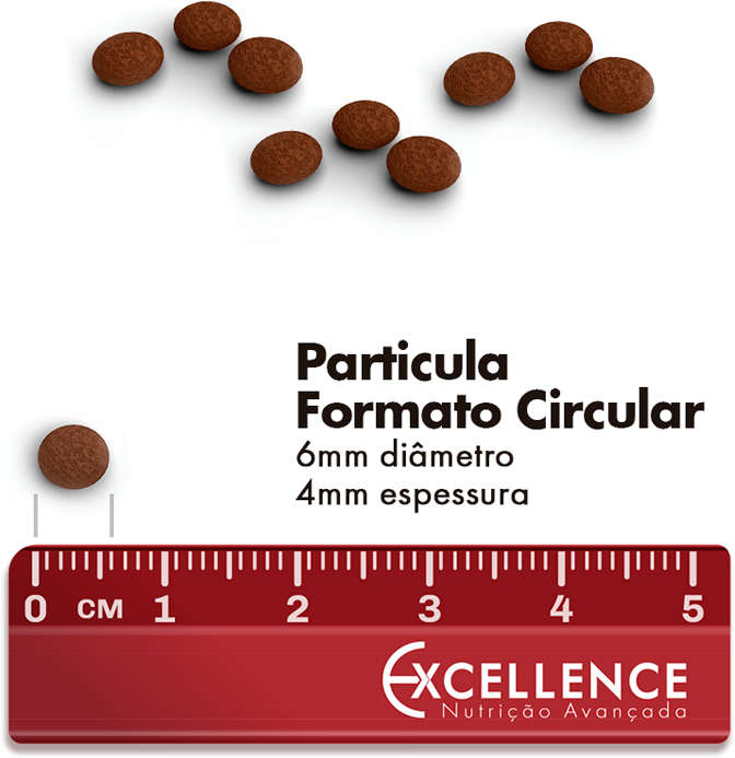 Ração Seca Dog Excellence Frango e Arroz Cães Filhotes Raças Pequenas - 10,1Kg