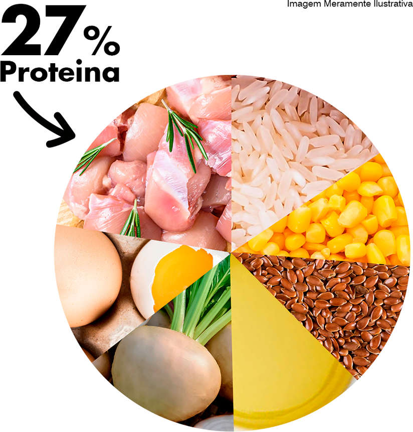 Ração Seca Dog Excellence Frango e Arroz Cães Filhotes Raças Pequenas - 10,1Kg