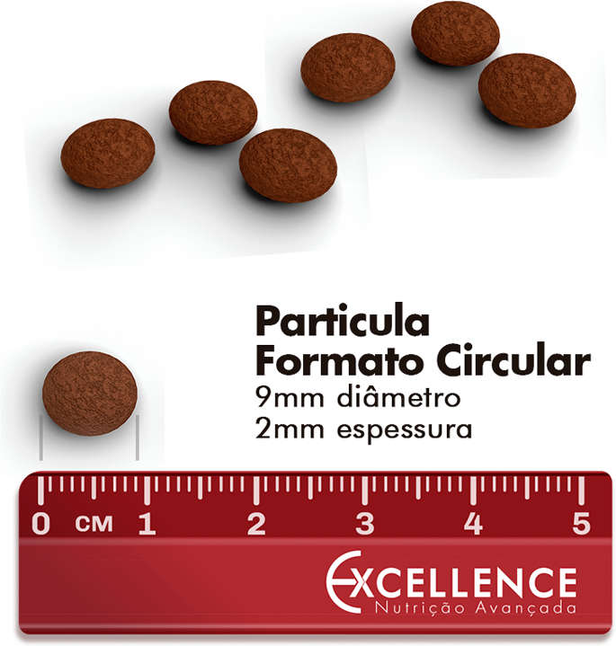 Ração Seca Dog Excellence Frango com Arroz para Cães Adultos Raças Pequenas - 10,1Kg