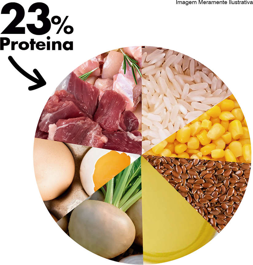 Ração Seca Dog Excellence Cordeiro e Arroz para Cães Adultos Raças Pequenas - 10,1Kg