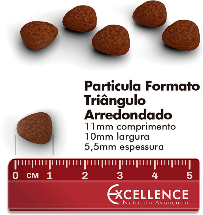 Ração Seca Dog Excellence Frango e Arroz para Cães Idosos Raças Pequenas - 10,1Kg