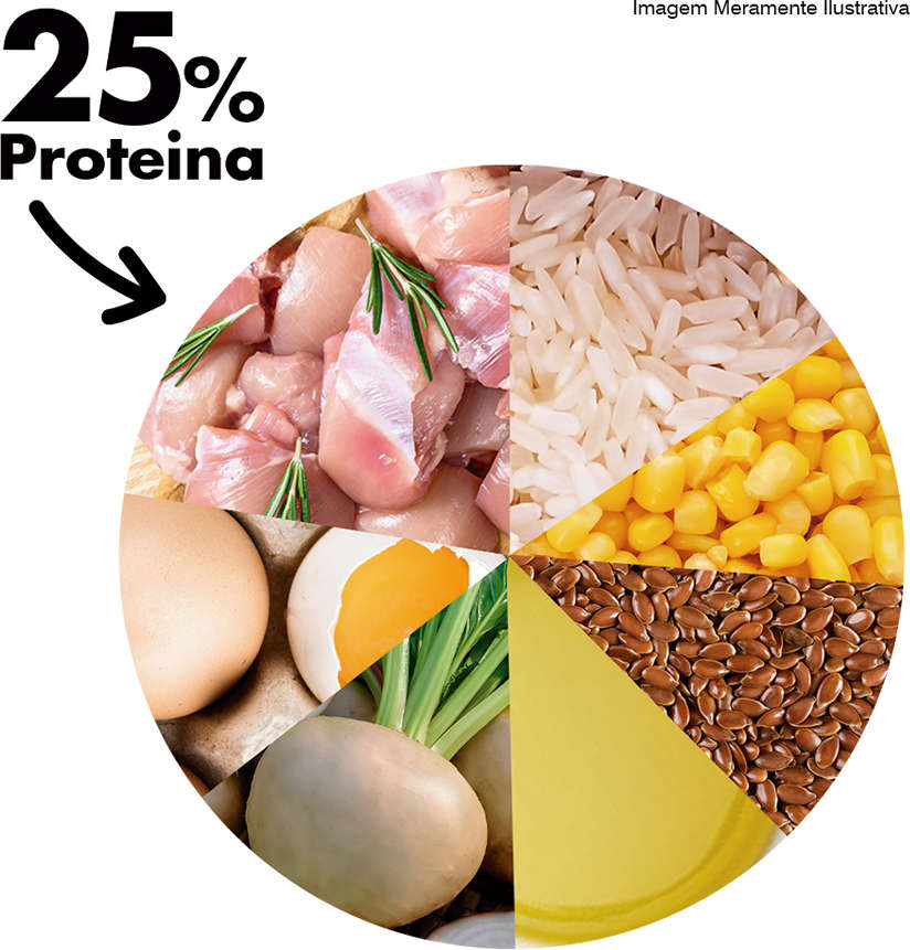 Ração Seca Dog Excellence Frango e Arroz para Cães Idosos Raças Pequenas - 10,1Kg
