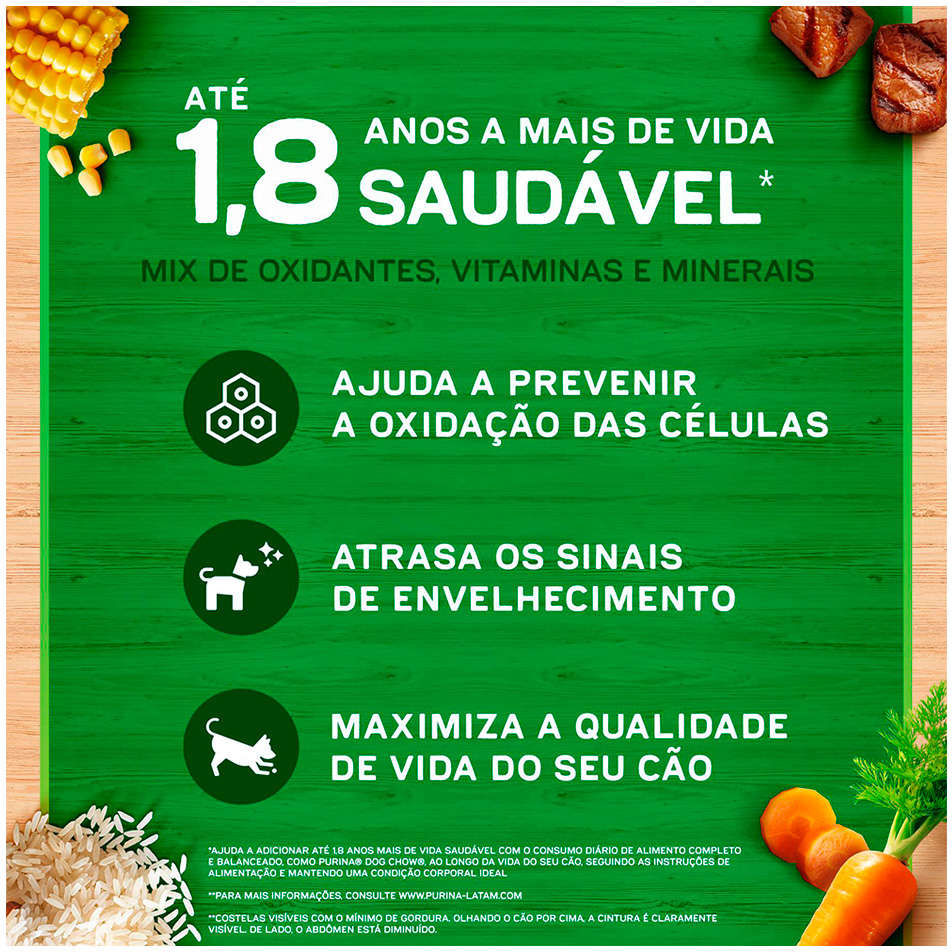 Ração Seca Nestlé Purina Dog Chow Extra Life Carne, Frango e Arroz Cães Filhotes Raças Minis e Pequenas - 10,1Kg