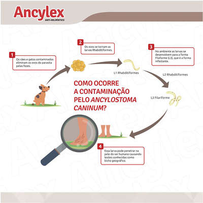 Vermífugo Ancylex Comprimidos para Cães Anti-Helmíntico