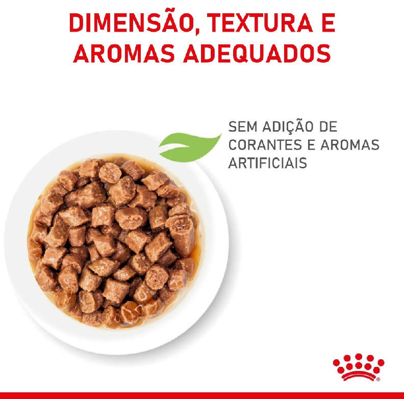 Ração Úmida Royal Canin Sachê Feline Kitten Instinctive para Gatos Filhotes com ate 12 meses - 85 g