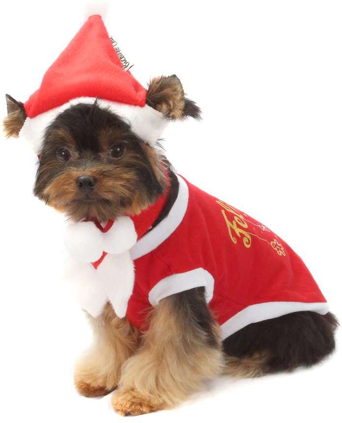 Gorrinho de Natal Vermelho - Tam. GG