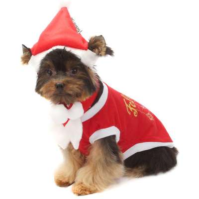 Gorrinho de Natal Vermelho
