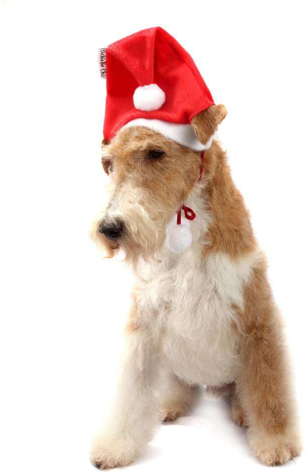 Gorrinho de Natal Vermelho - Tam. GG