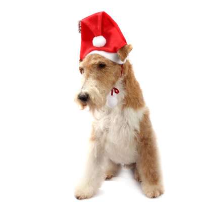 Gorrinho de Natal Vermelho