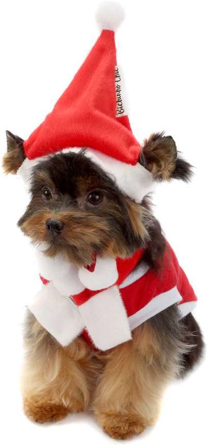 Gorrinho de Natal Vermelho - Tam. GG