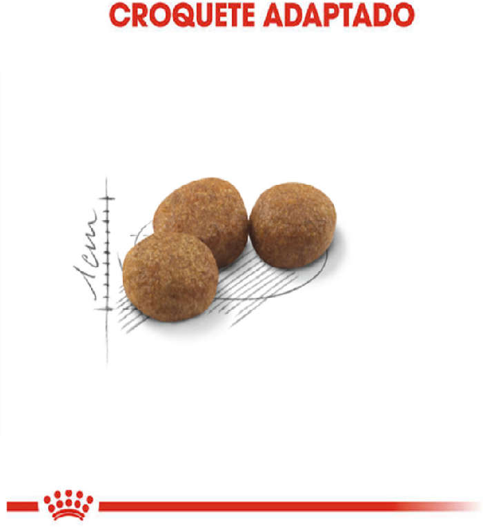 Ração Royal Canin Sterilised para Gatos Adultos Castrados - 1,5Kg