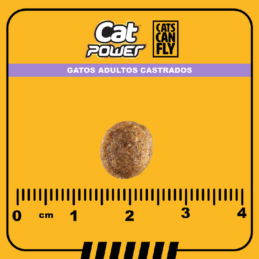 Ração Seca Cat Power Cats Can Fly Salmão para Gatos Castrados Adultos - 10,1Kg