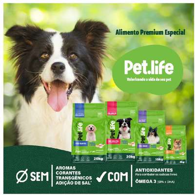 Ração Seca Pet.life Frango e Arroz para Cães Adultos Porte Mini