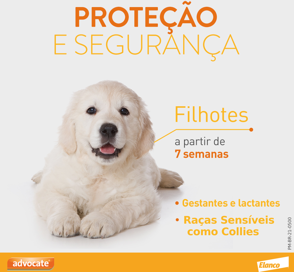 Antipulgas e Vermicida Advocate 100 mg para Cães de 4 a 10Kg - 1 Pipeta