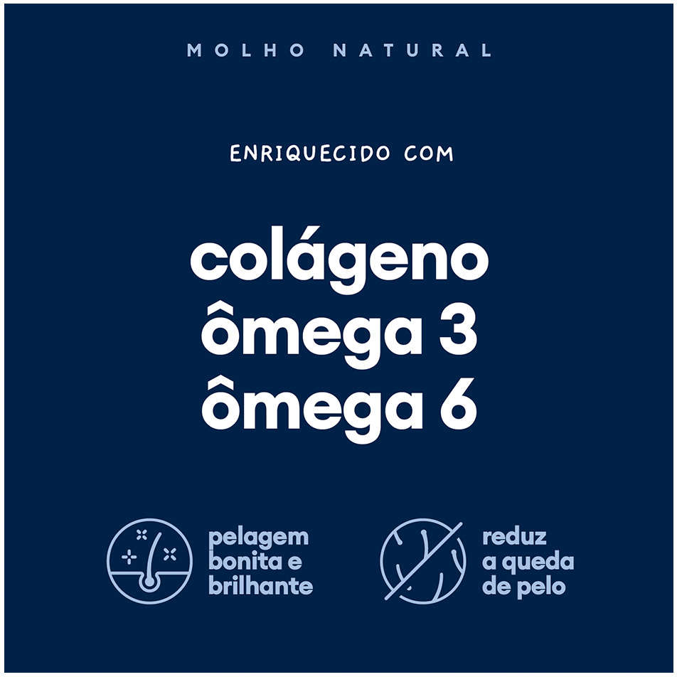 Ração Úmida Pet Delícia Molho Natural Carne para Cães - 100g