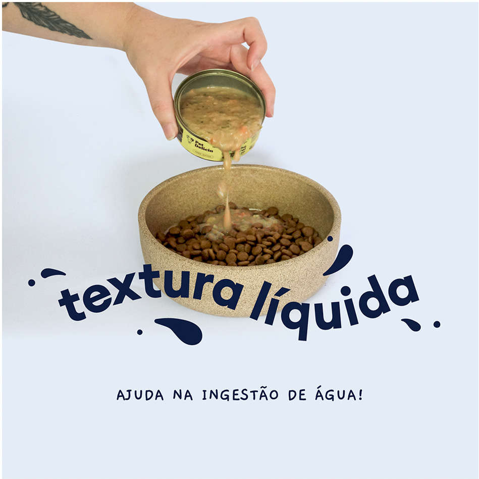 Ração Úmida Pet Delícia Molho Natural Carne para Gatos - 100g