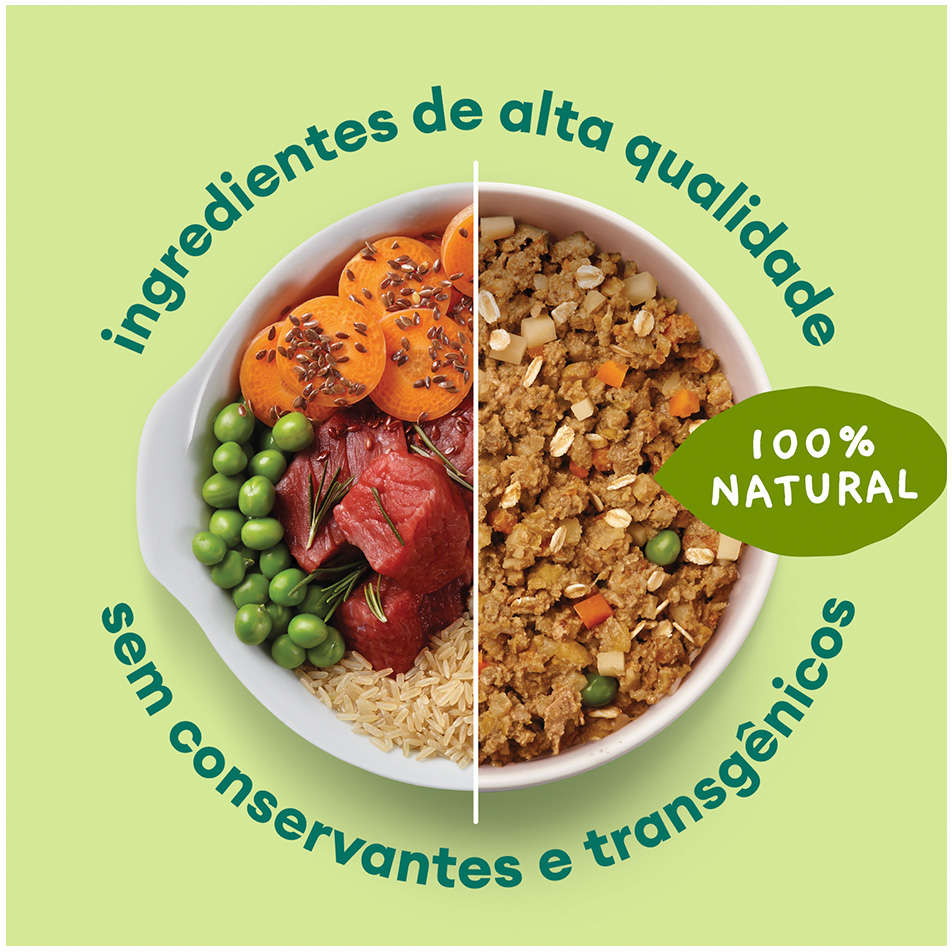Ração Úmida Pet Delícia Natural Proteína Alternativa Filé de Peixe para Gatos - 320g