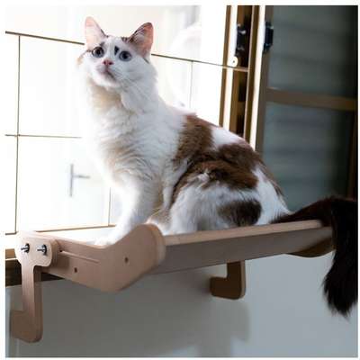 Cama Janeleira Cru com Carpete Preto para Gatos