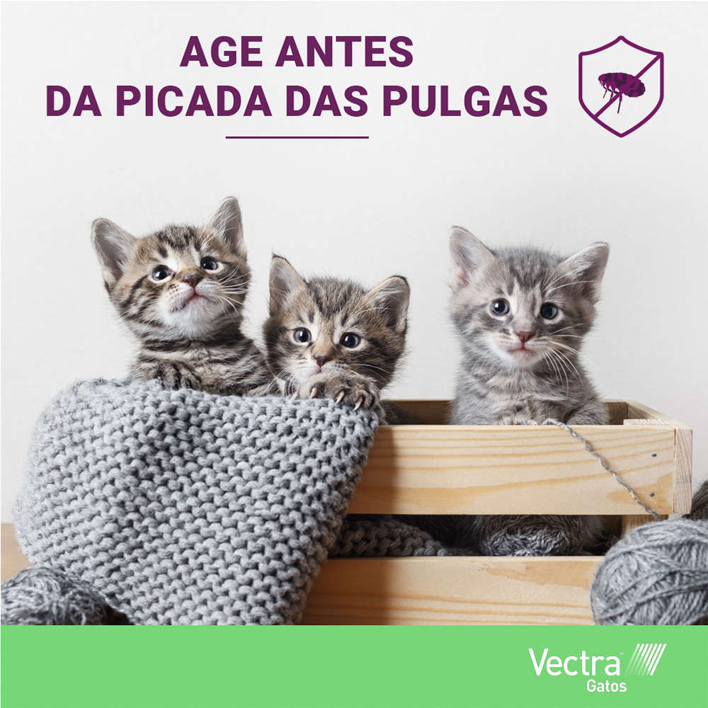 Antipulgas Ceva Vectra para Gatos até 10Kg - 3 Pipetas