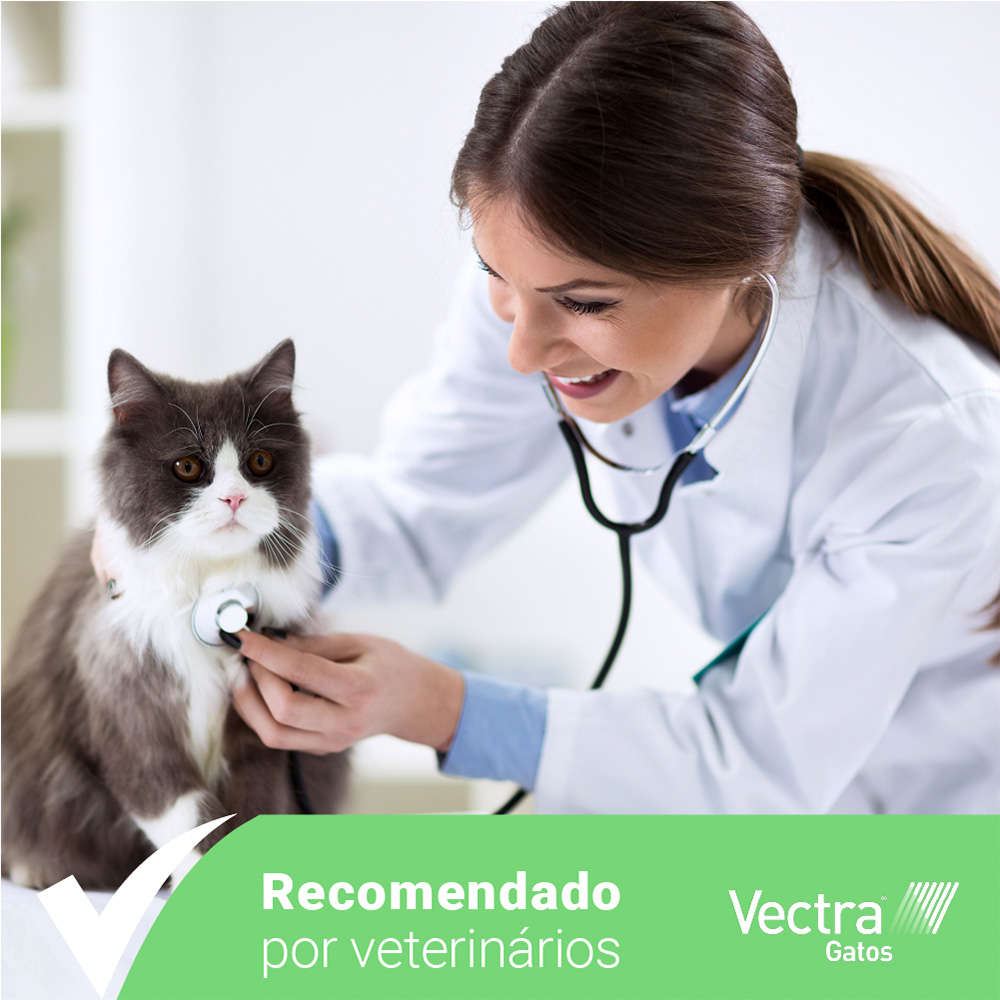 Antipulgas Ceva Vectra para Gatos até 10Kg - 3 Pipetas
