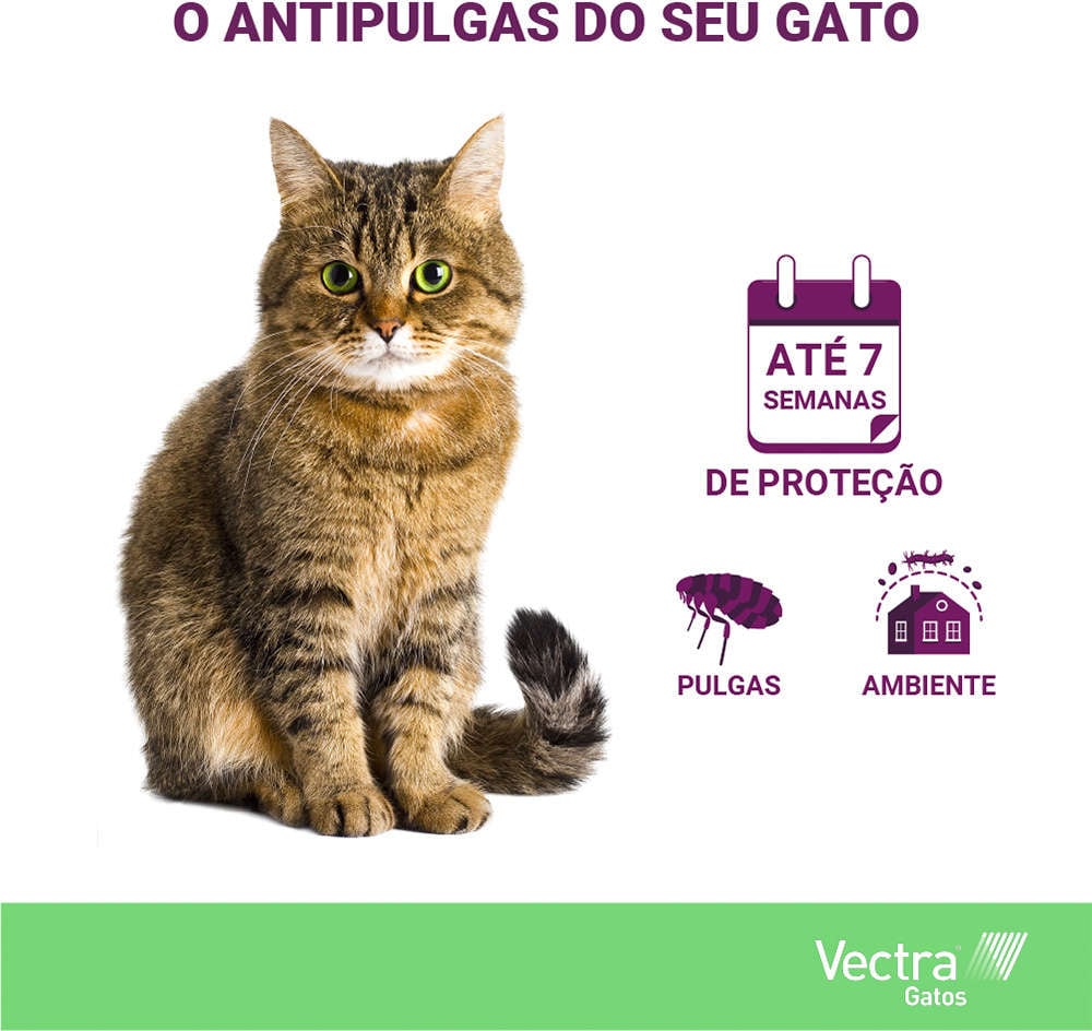 Antipulgas Ceva Vectra para Gatos até 10Kg - 3 Pipetas