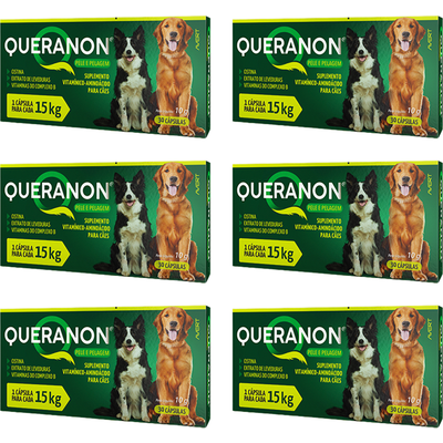 Kit Suplemento Alimentar Avert Queranon para Cães - 6 Unidades