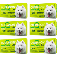 Kit Suplemento Alimentar Avert Queranon para Cães e Gatos até 30Kg - 6 Unidades
