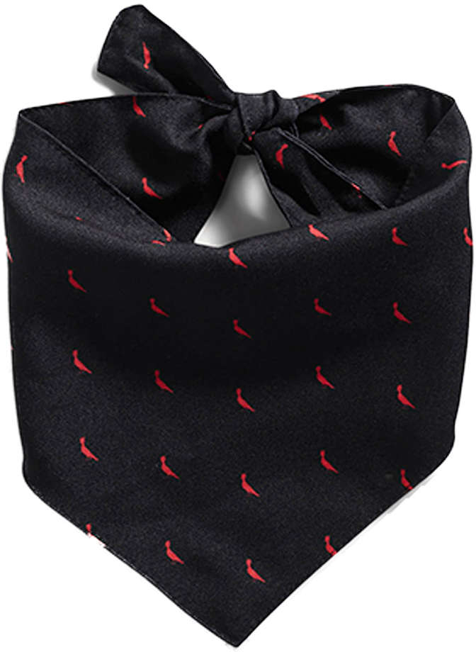 Bandana Reserva Pica-Pau - Tam. Único