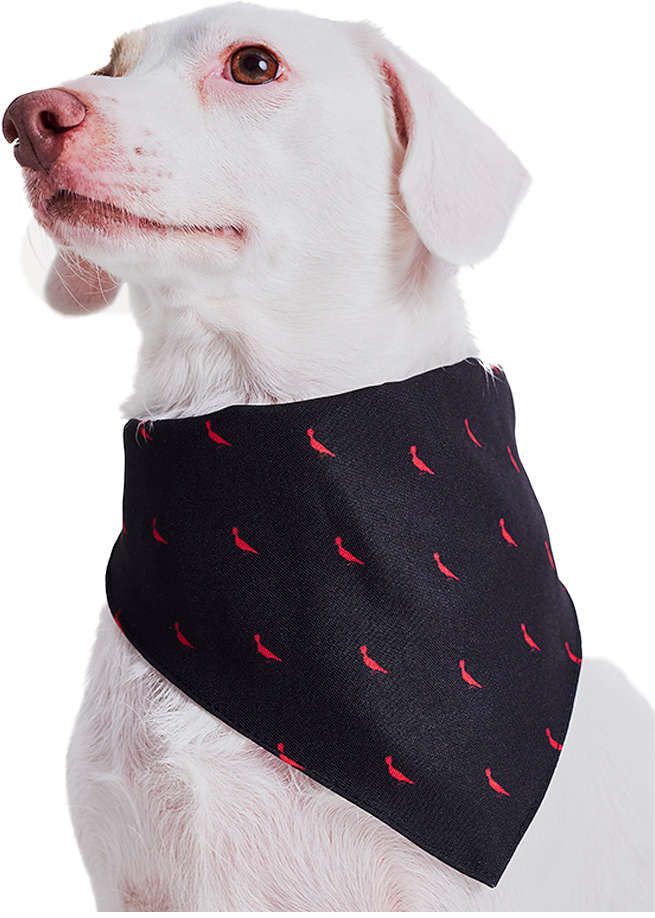 Bandana Reserva Pica-Pau - Tam. Único