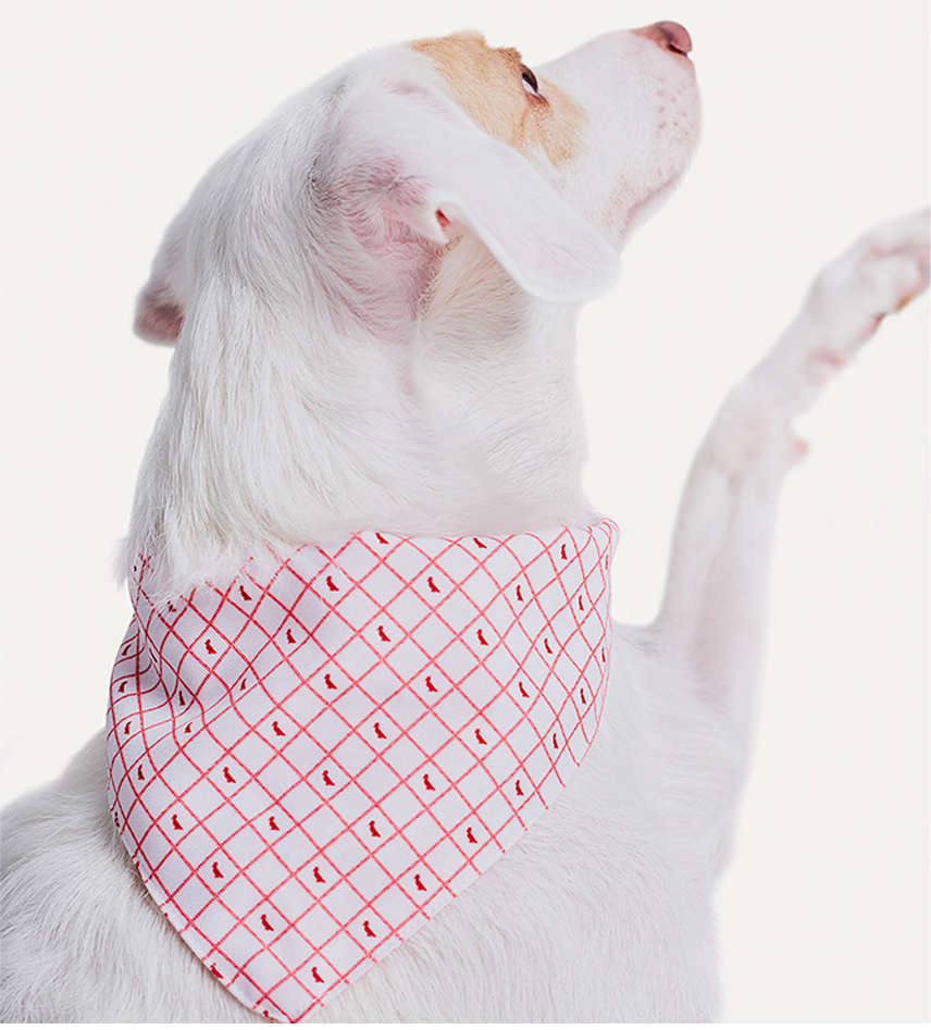 Bandana Reserva Branca - Tam. Único