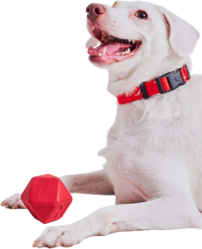 Bola Reserva Diamante Pet - Tam. Único