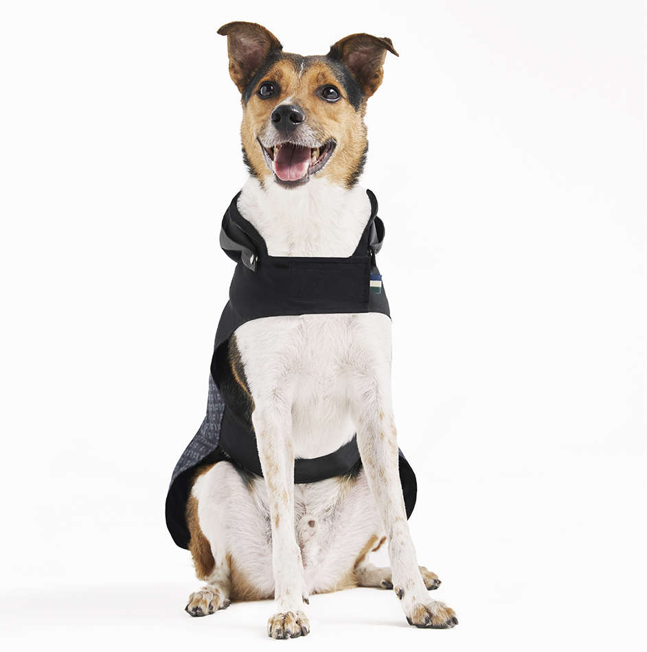 Capa de Chuva Reserva para Cães - Tam. P