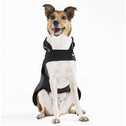 Capa de Chuva Reserva para Cães - Tam. P