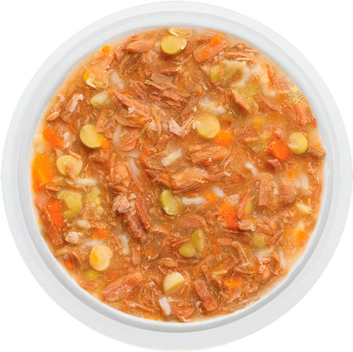 Ração Úmida Guabi Natural Carne, Arroz Integral e Vegetais para Cães - 100 g