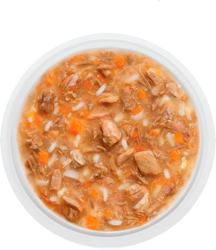 Ração Úmida Guabi Natural Carne, Arroz Integral e Cenoura para Gatos - 85 g - 54 Unidades