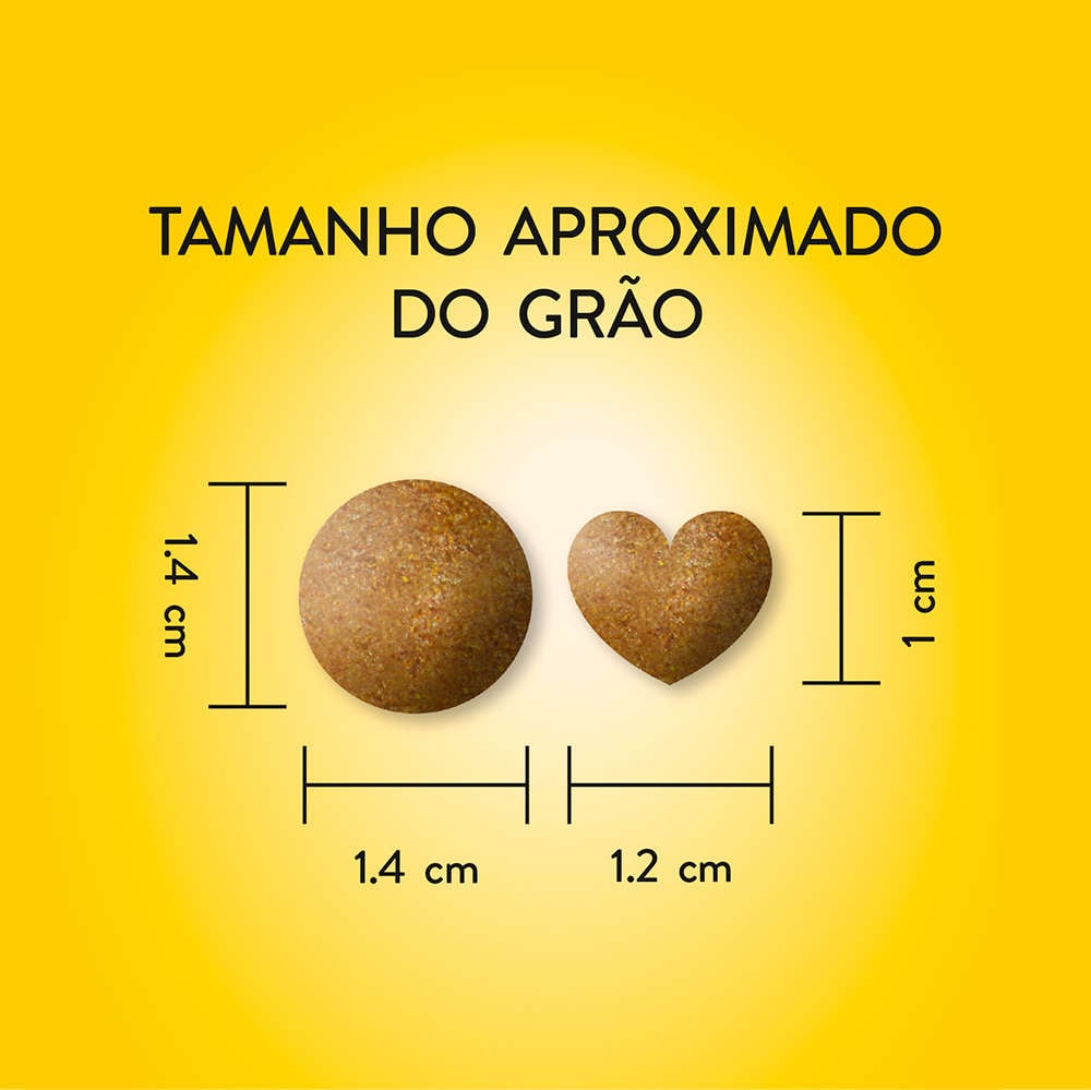 Ração Seca Quatree Carne para Cães Adultos - 20Kg