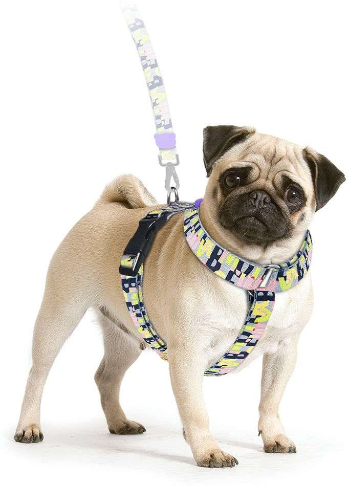 Peitoral Paris para Cães - Tam. G