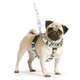 Peitoral Paris para Cães