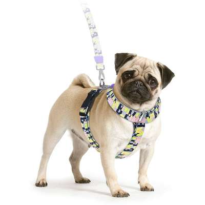 Peitoral Paris para Cães