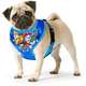 Peitoral Paw Patrol Azul para Cães